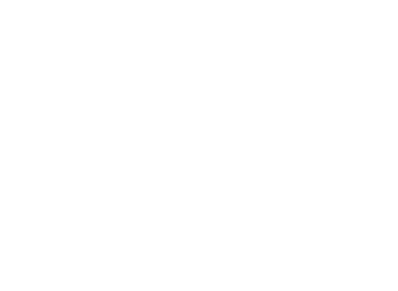 Footprint logo